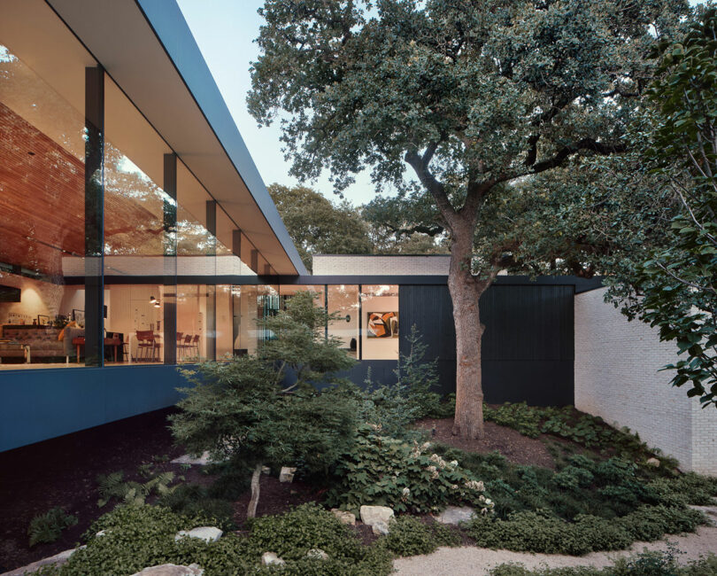 Casa moderna con grandes ventanas de vidrio, rodeada de árboles y vegetación, que muestra detalles interiores como muebles y decoración.