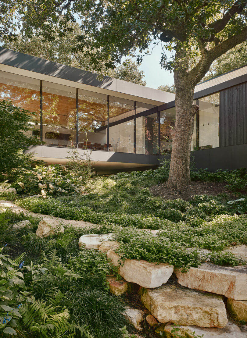 Modern house with large glass windows surrounded by lush greenery, rocks, and a tree in the foreground.