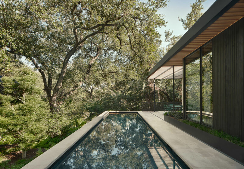 Modern house with flat roof beside a narrow pool, surrounded by trees. The pool reflects the trees and the building, creating a serene atmosphere.