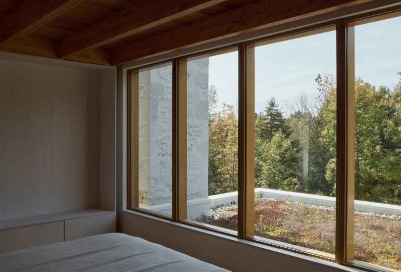 Sunlit bedroom with large windows overlooking green trees and a grassy flat roof. Wooden ceiling beams are visible, and a bed is partially in view.