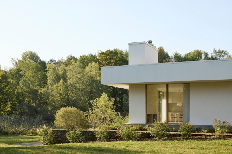 Modern white house with large windows set against a backdrop of lush green trees under a clear blue sky.