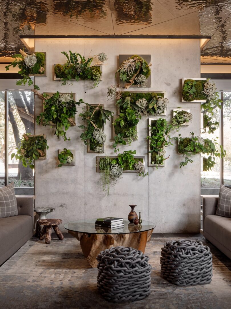 Modern living room with a vertical garden wall, glass-top table on a wooden base, gray couches, and knitted poufs. Wall planters with greenery are arranged creatively on a concrete wall.