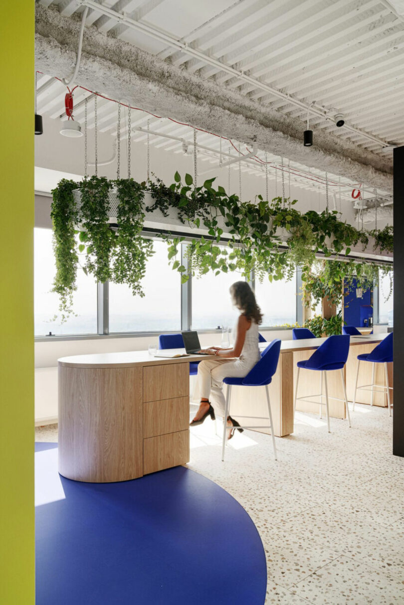 Office space with a person sitting on a blue chair at a wooden desk, surrounded by hanging plants. Large windows provide natural light.