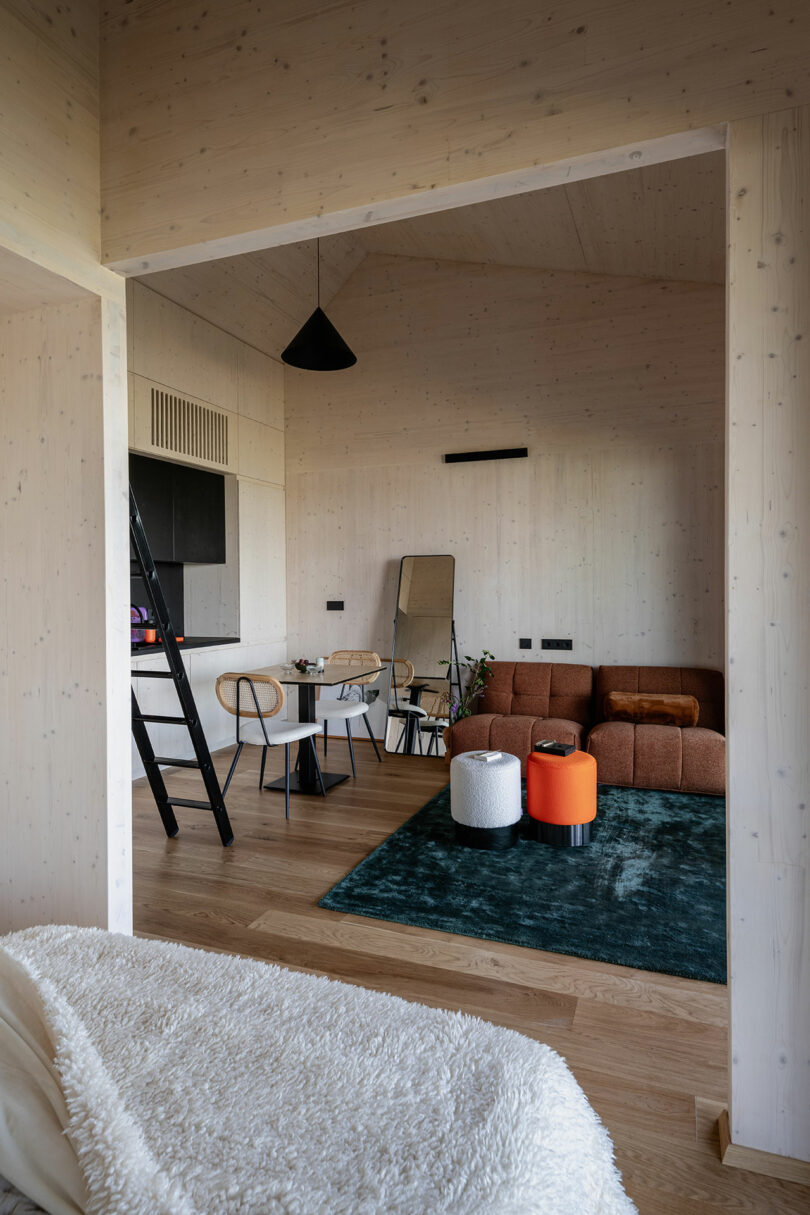 Modern living space with light wood walls, a brown sofa, a green rug, a small dining table with chairs, and a black ladder leading to a loft. A pendant light hangs from the ceiling.