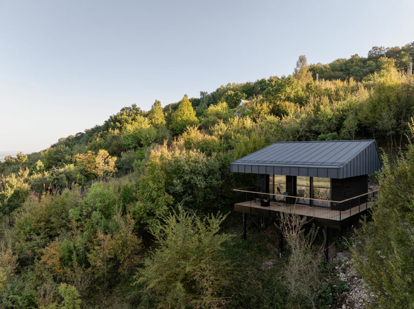 A modern cabin with a metal roof and large windows stands on stilts among dense green trees on a hillside under a clear sky.