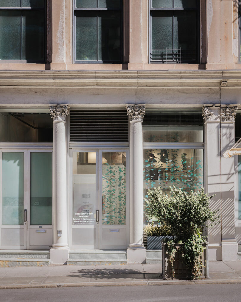 A building facade with tall windows, decorative columns, frosted glass doors, and a planter with leafy green plants on the sidewalk.
