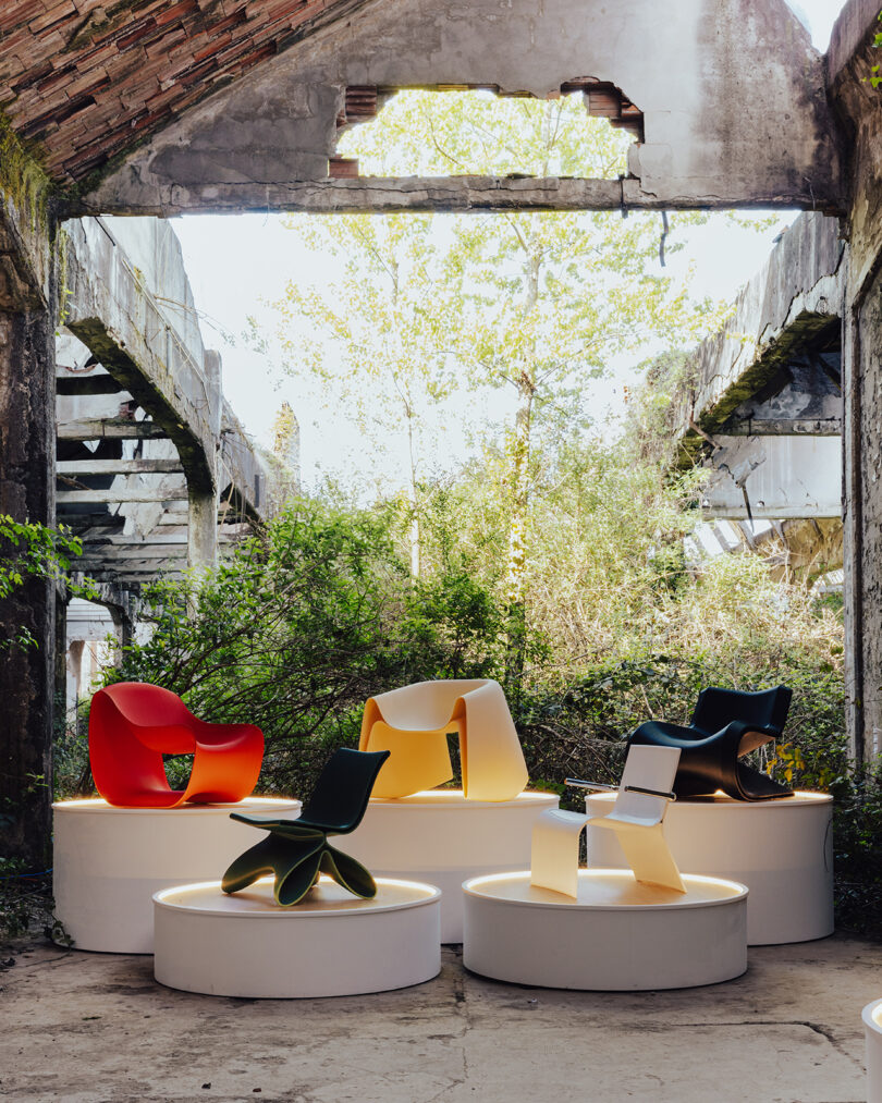 Four modern, colorful chairs are displayed on round white platforms inside the decay, overgrown building with sunlight through broken roof sections.