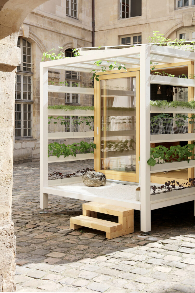 A modern greenhouse structure with glass walls, wooden frame, and plants growing on shelves, situated in a cobblestone courtyard near historical buildings