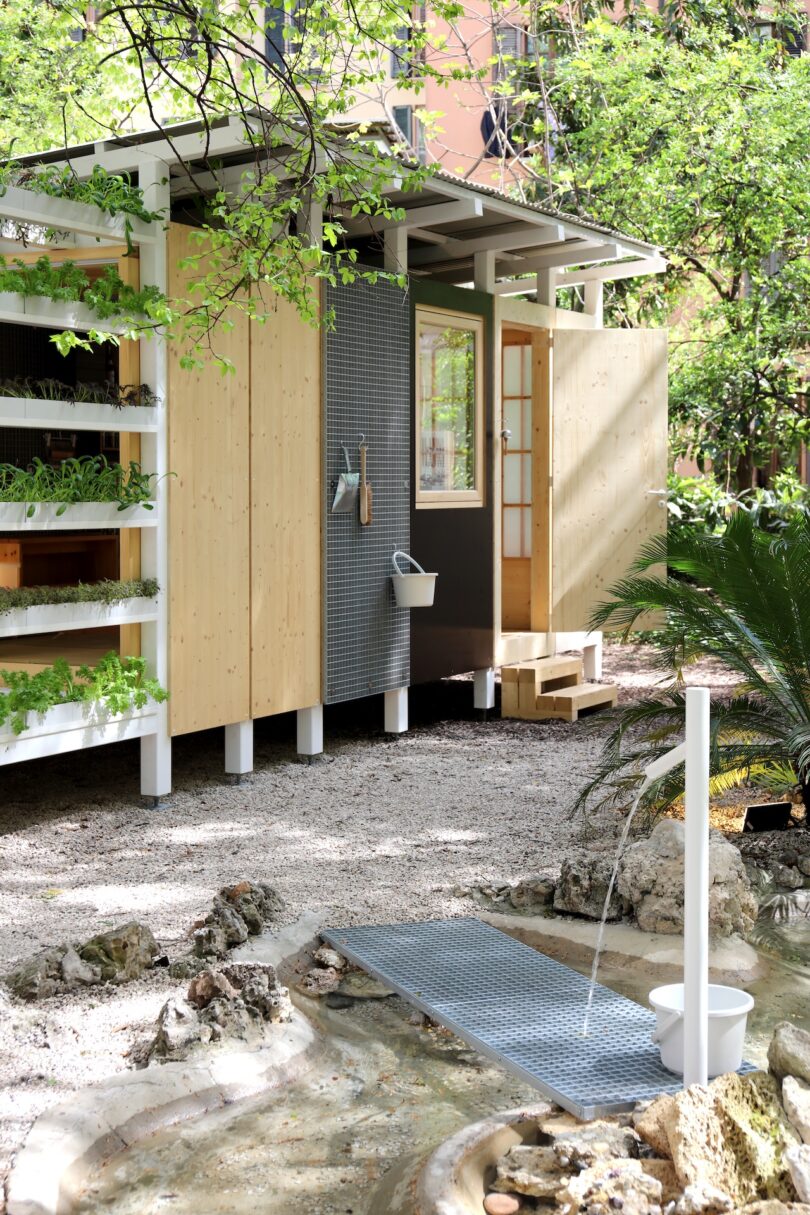 A small modern shed with wooden walls, a metal door, potted plants on shelves, steps, and an outdoor water feature with a white spout and bucket in a garden setting