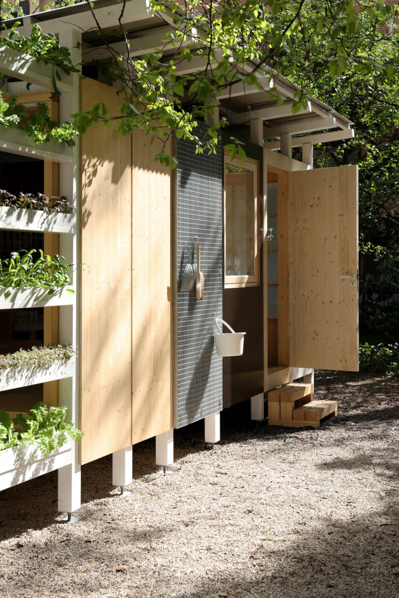 A small wooden shed with open doors, a metal panel, and planters with green plants, set on a gravel surface under leafy trees
