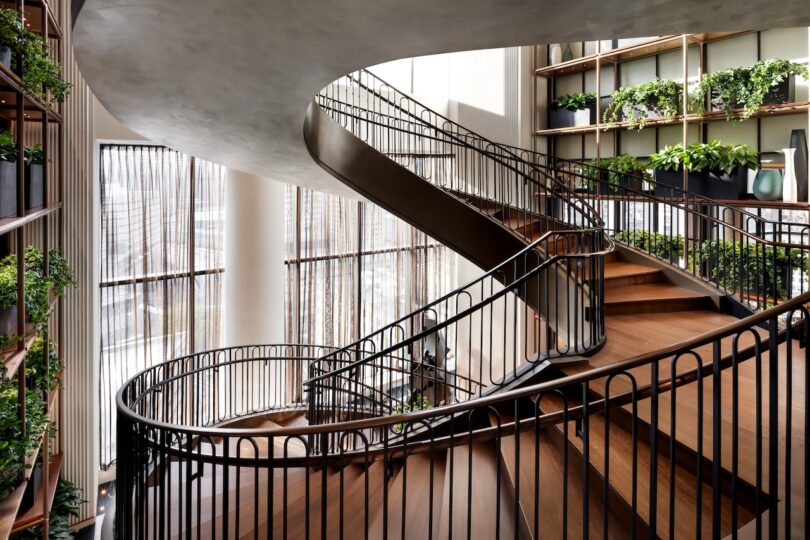 A modern spiral staircase with wooden steps and a black railing ascends between floors, surrounded by potted plants and tall windows with sheer curtains.