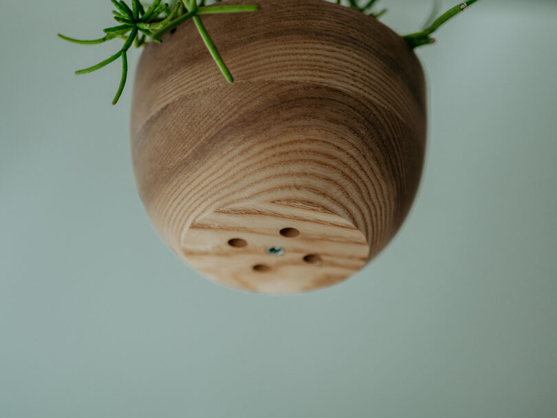 A wooden plant pot with a few green stems is shown upside down against a plain background. The pot has visible wood grain and drainage holes.