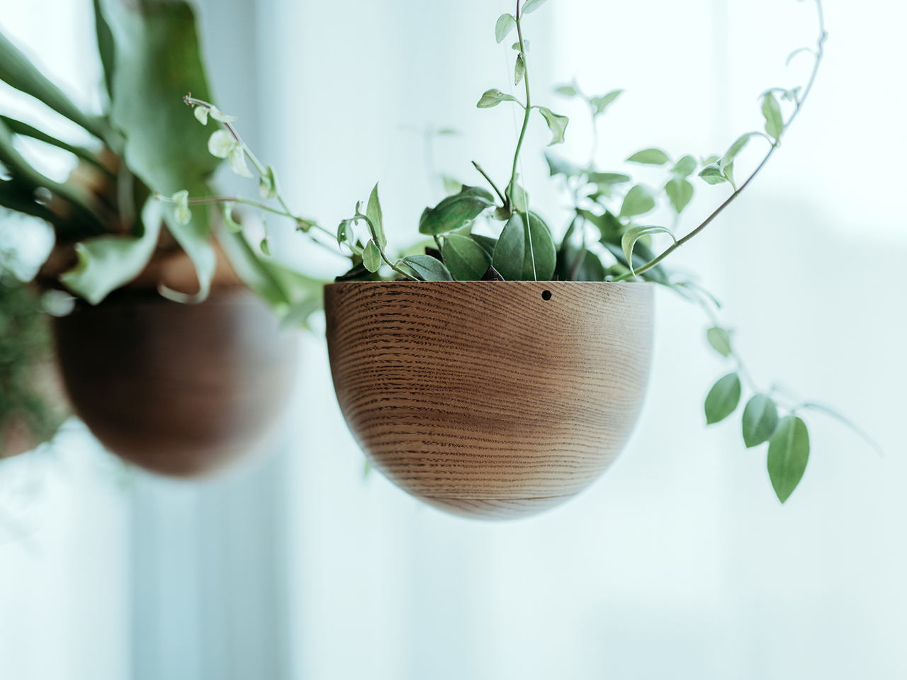 NECKTIE Presents a Hanging Planter That Feels Weightless