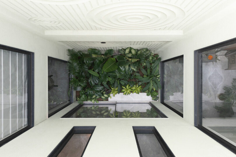 A view looking up at a modern interior courtyard with large windows, white textured ceiling, and a wall of green plants.