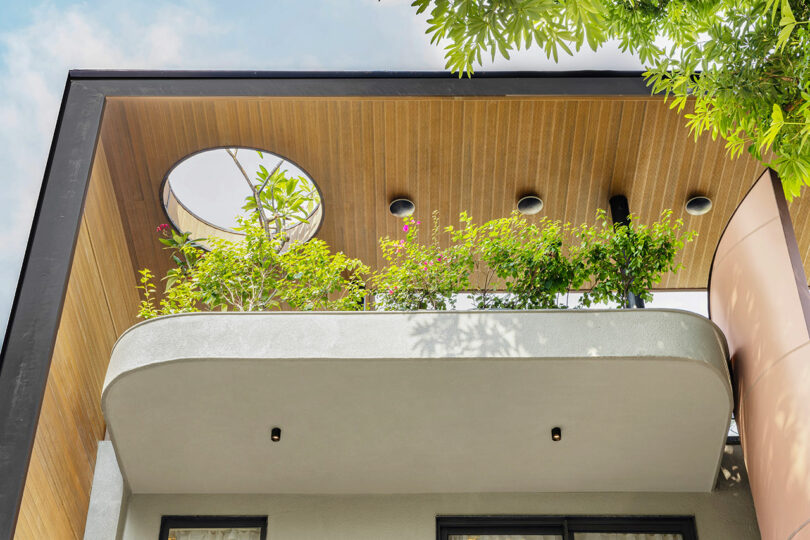 Modern balcony with green plants, wooden ceiling, recessed lighting, and a circular skylight, viewed from below against a partly cloudy sky and surrounding tree branches.