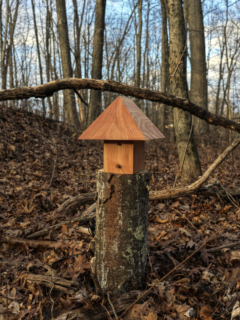 A small wooden birdhouse with a triangular roof sits on top of a tree stump in a leaf-covered forest.