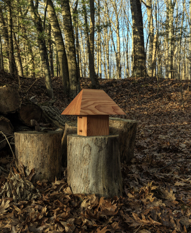 A small wooden structure with a triangular roof sits on a tree stump surrounded by fallen leaves and trees in a forest.
