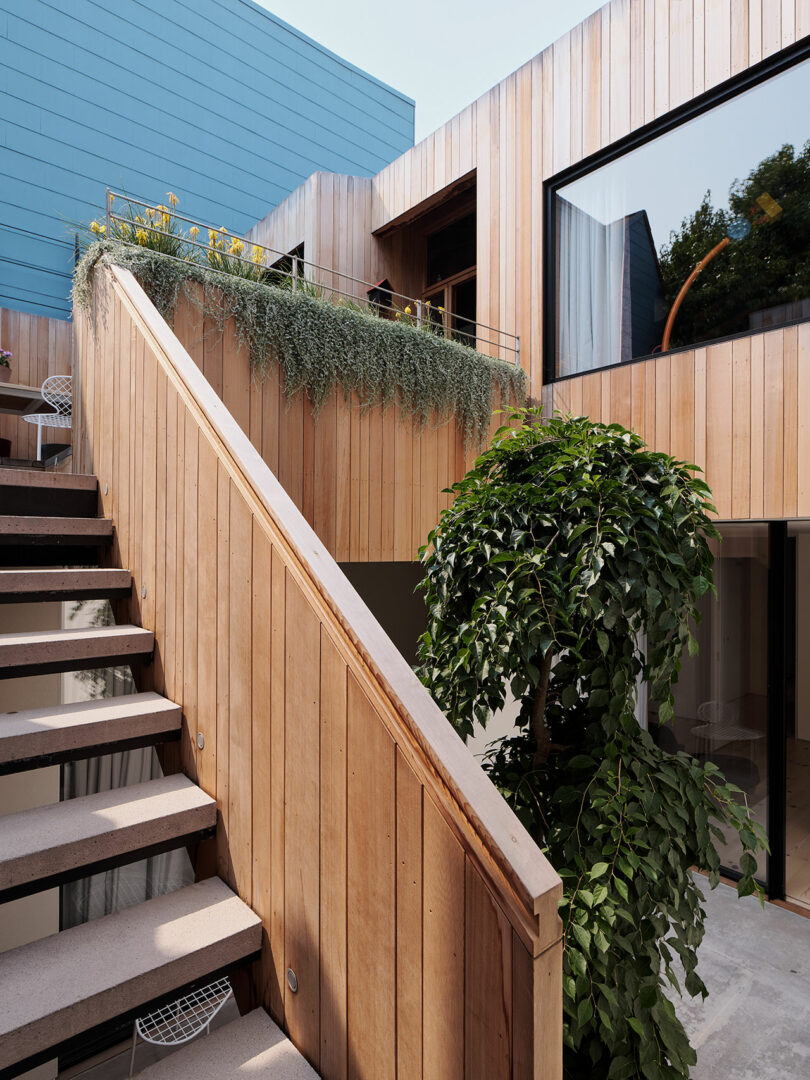 Modern courtyard with wooden exterior walls, an open staircase, potted greenery, large windows, and a blue wall in the background.
