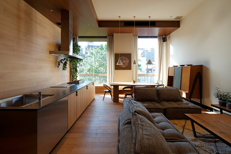 Modern living space open at Trunk (hotel) Cat Street, with wooden finishes, a kitchen area, dining table, gray sofa, large windows, interior plants and abundant natural light