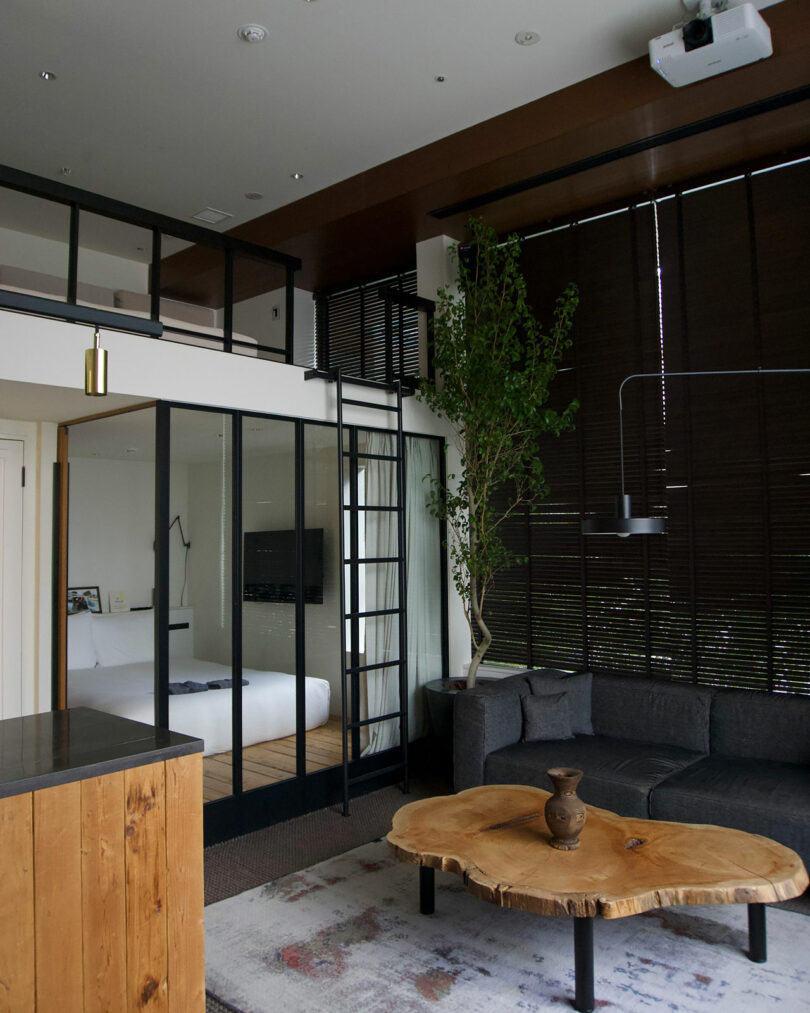 Modern loft-style living room/hotel room with a wooden coffee table, gray/navy sofa, large windows with dark blinds, indoor tree, and a visible bedroom through glass doors—evoking the chic vibe of TRUNK(HOTEL) CAT STREET.