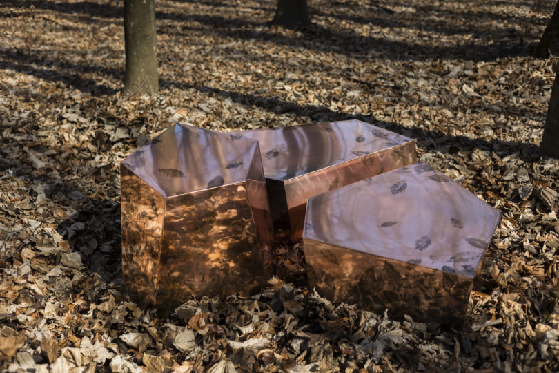 reflective, metallic cube-shaped structures with leaf patterns are placed among fallen leaves in a forest setting
