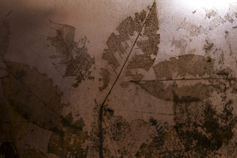 Close-up of a leaf impression on a copper table