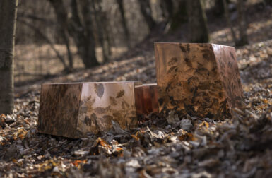 Alcarol Lets Nature Leave Its Mark on the IMPRINT Collection