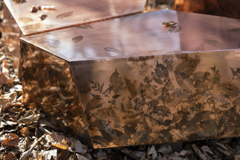 reflective, metallic cube-shaped structures with leaf patterns are placed among fallen leaves in a forest setting
