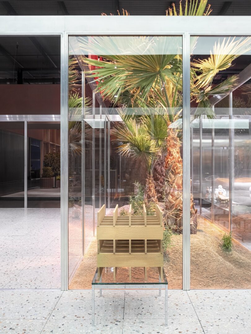 A wooden architectural model is displayed on a glass table inside a glass enclosure with large palm trees and sandy soil
