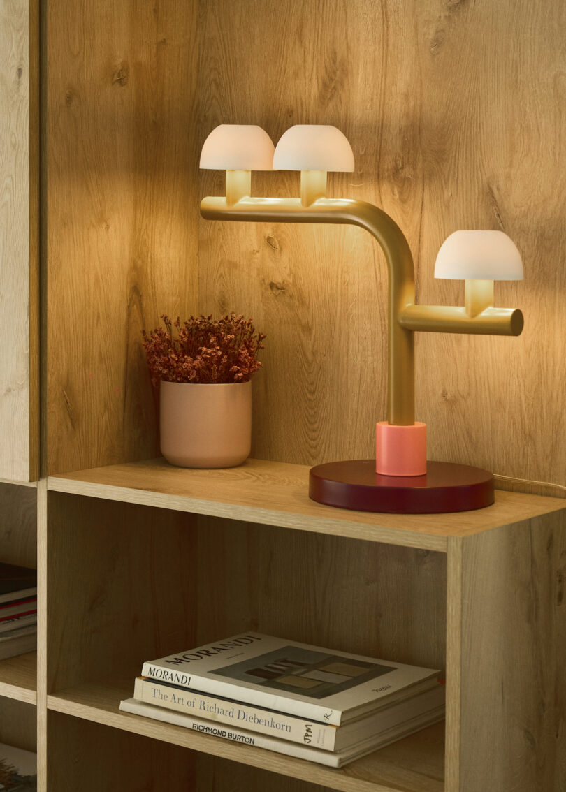A modern lamp with three dome-shaped white shades on a gold stand sits on a wooden shelf next to a potted plant and a stack of books