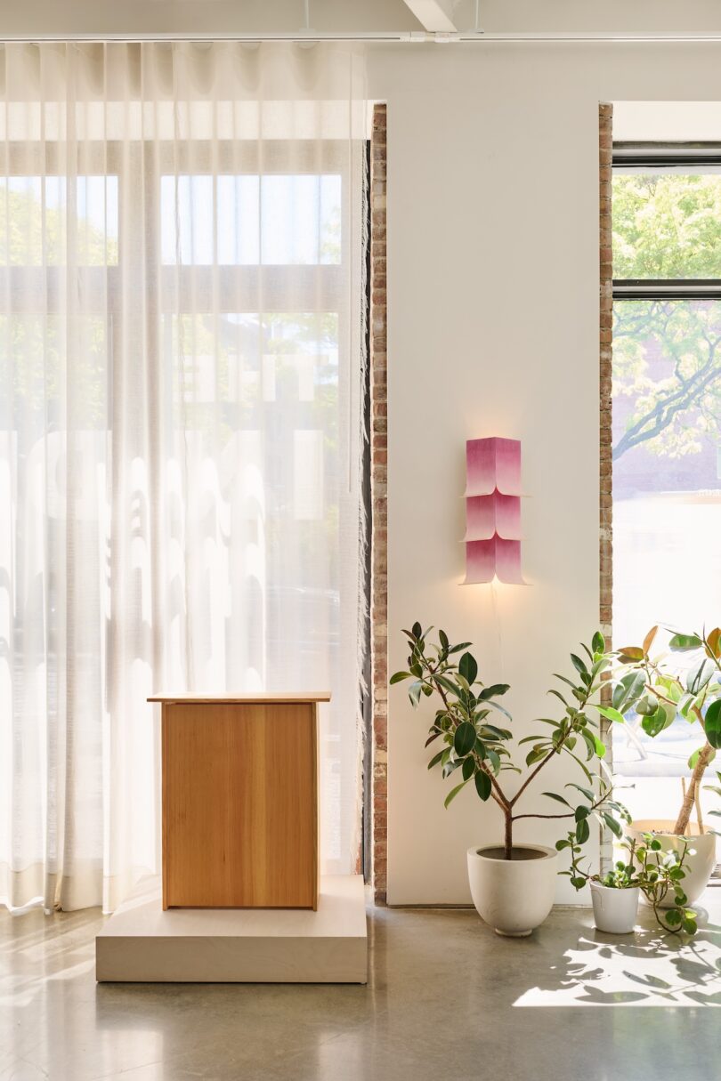 A wooden pedestal stands next to potted plants and a wall-mounted pink light fixture in a bright room with sheer curtains and large windows.
