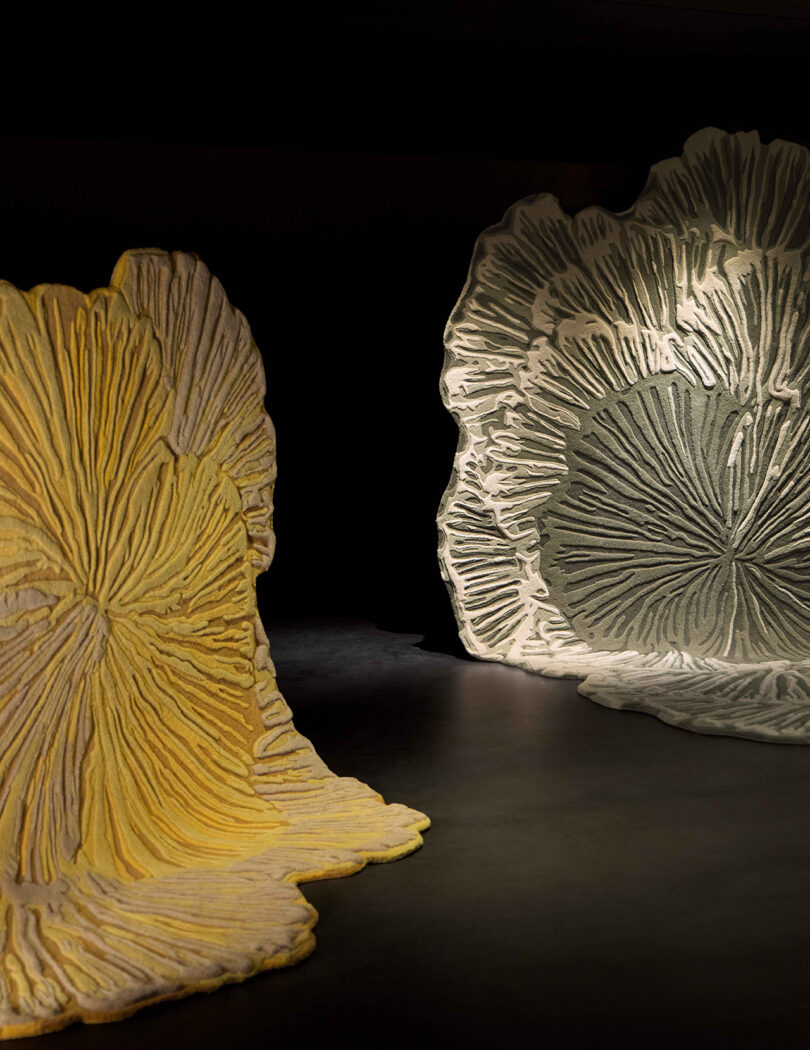 Two large, textured sculptural pieces resembling fungi or coral, one yellow and one white, are displayed on a dark floor under focused lighting.