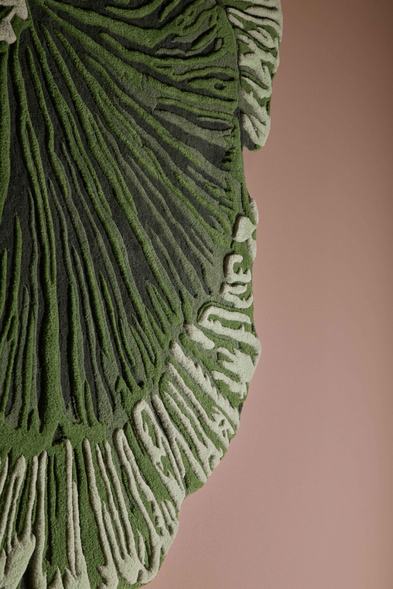 Close-up of a textured green and cream circular object resembling a cross-section of a mushroom, set against a plain beige background.