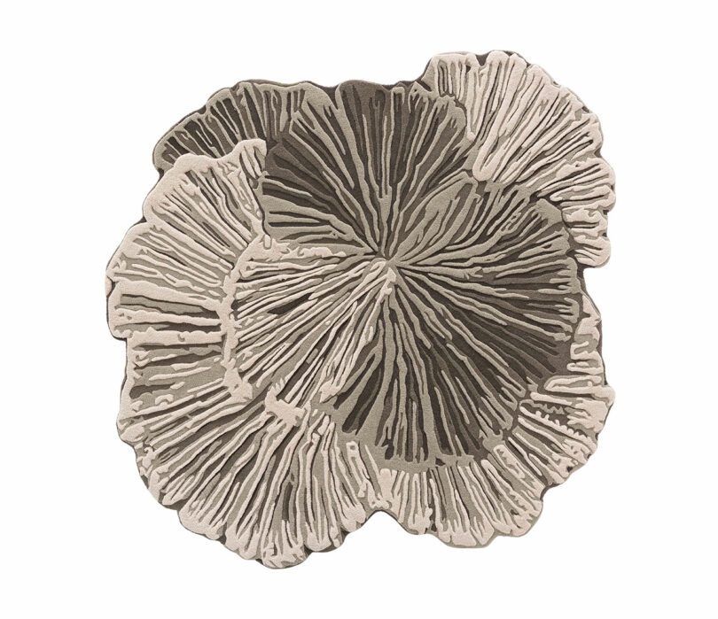 Beige and brown area rug with an abstract, organic design resembling overlapping mushroom caps or coral, inspired by the Botanica Bodo Sperlein collection.