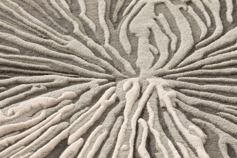 Close-up of a textured surface with raised, branching patterns in shades of beige and cream, echoing the organic elegance of Botanica by Bodo Sperlein. The design resembles abstract ripples or natural growth.