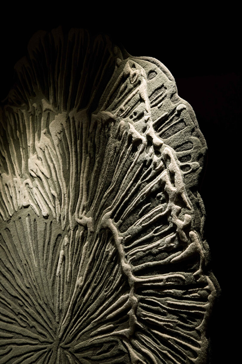 Close-up of a textured, radial sand pattern resembling a mushroom gill or abstract organic shape, partially illuminated against a dark background.