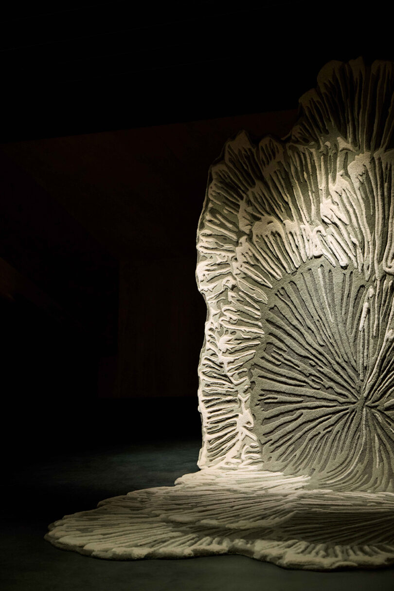Sculptural installation resembling a large, textured, organic form with radiating lines, illuminated against a dark background.