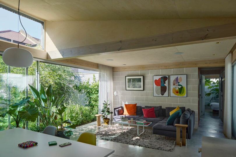 Modern living room with large windows, abundant natural light, indoor plants, colorful pillows on a gray sectional sofa, artwork on the wall, and views of a lush garden outside.