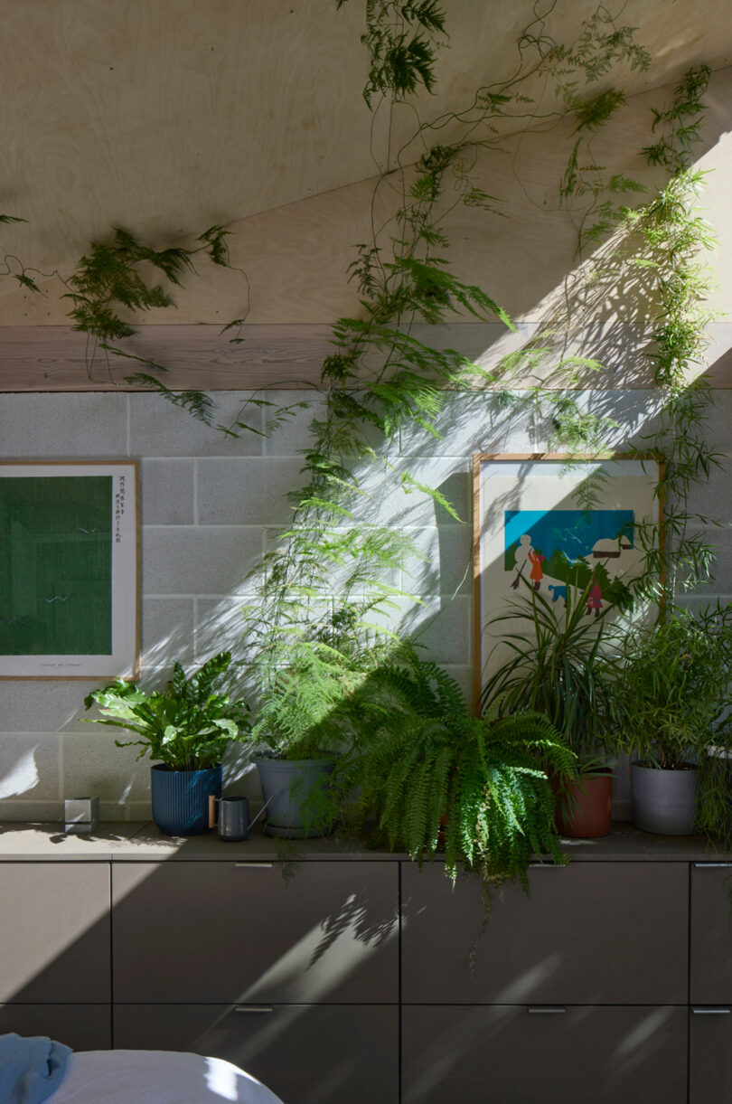 A sunlit interior with concrete block walls, leafy green houseplants, framed artwork, and a slanted wood ceiling.