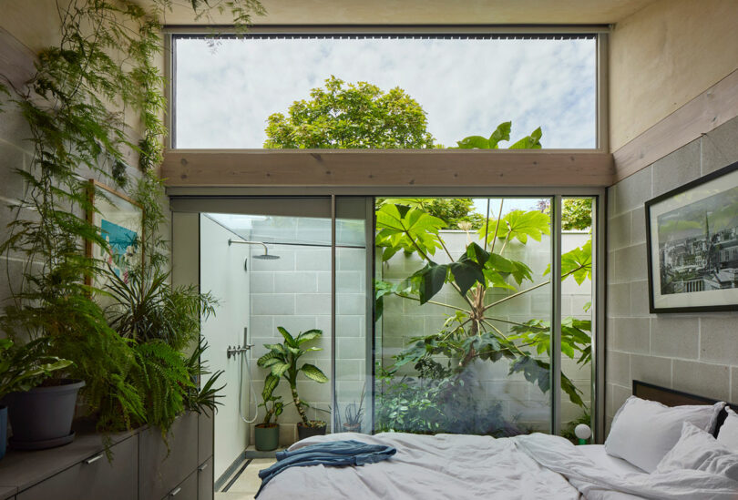 A bedroom with a bed, potted plants, concrete walls, and large glass doors opening to an outdoor patio with lush greenery and a high window above.