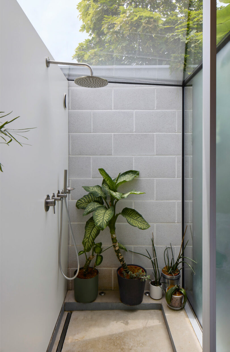 Minimalist outdoor shower with a rain showerhead, concrete block wall, glass panels, and several potted green plants on the floor.
