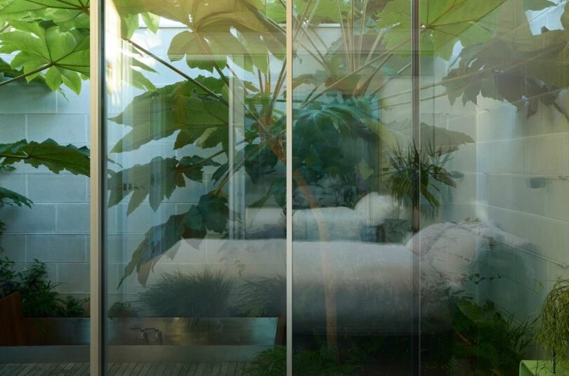 A glass wall separates a lush garden with large leafy plants from a minimalist bedroom with a white bed and concrete block walls.