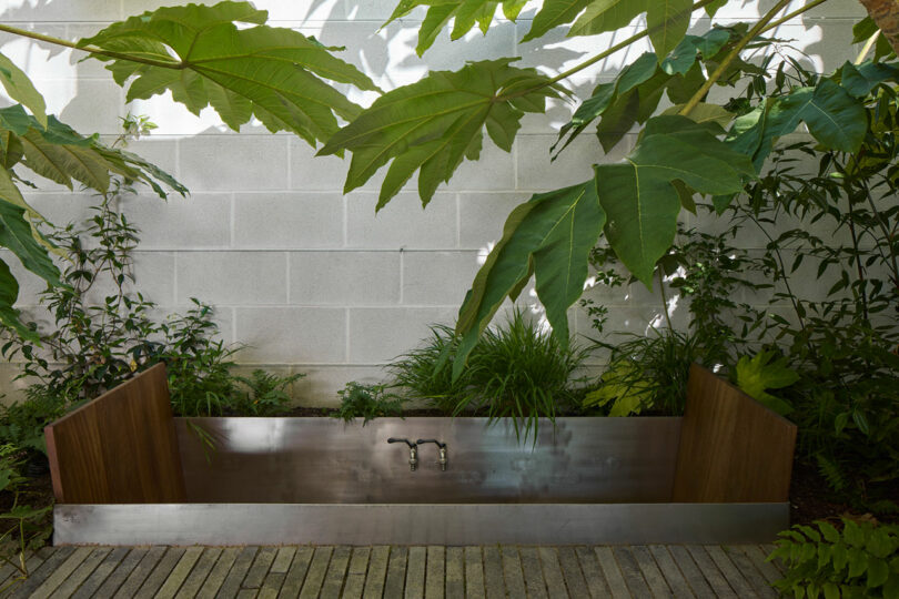 A modern outdoor bathtub with metal and wood panels is set among lush green plants against a white brick wall.