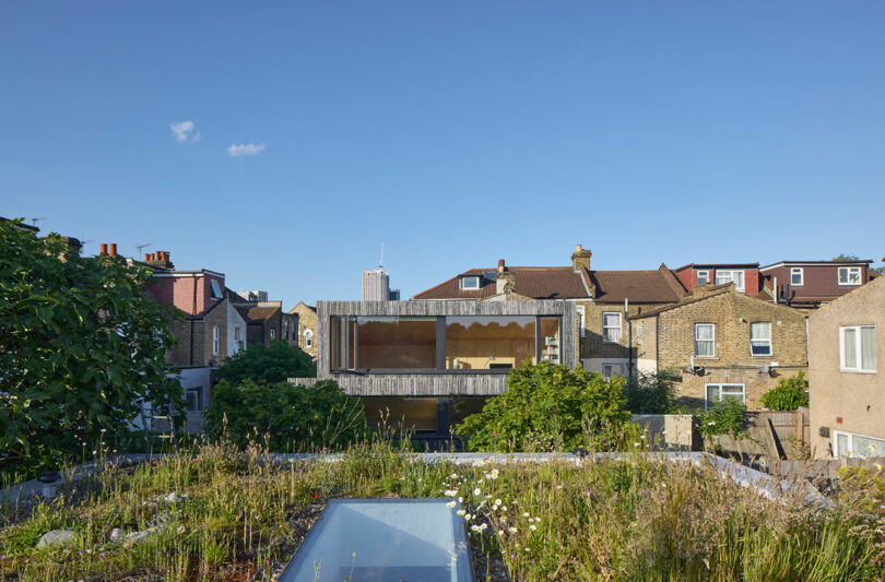 Contemporary house with large windows and a wooden facade set among traditional brick buildings, viewed from a rooftop with overgrown vegetation and a partial glass skylight.