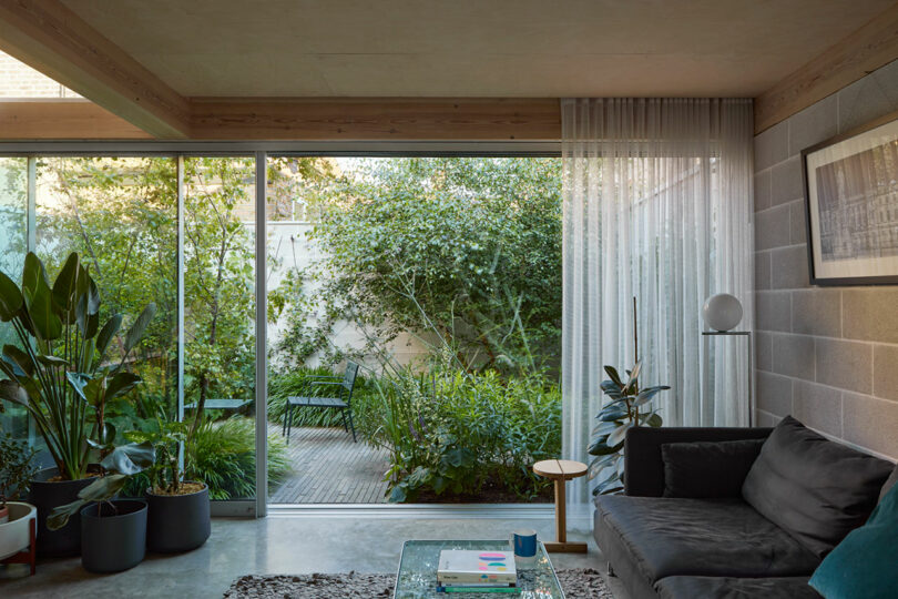 Modern living room with concrete walls, a dark sofa, potted plants, and a glass wall showcasing a lush garden patio outside.