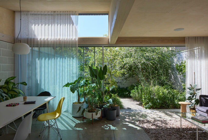 Modern living and dining area with large windows, indoor plants, sheer curtains, and abundant natural light, opening to a lush garden.