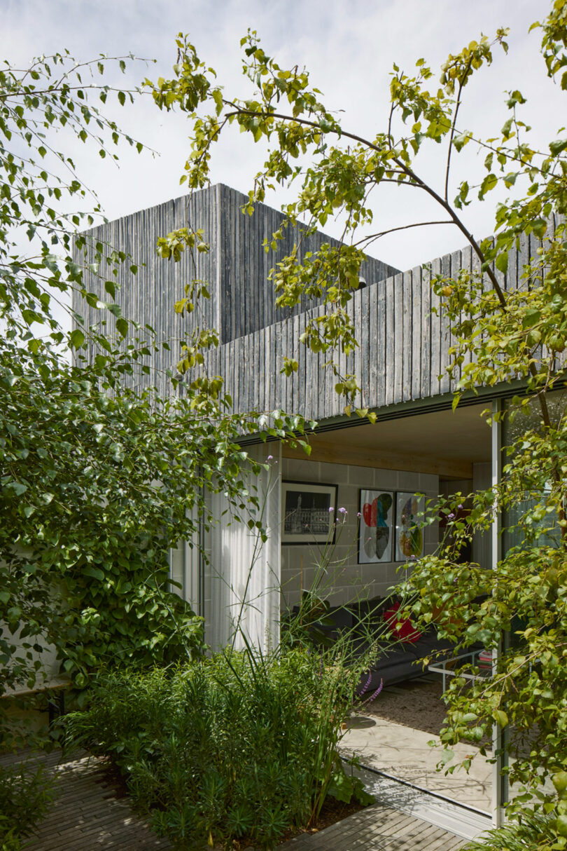 A modern house with wooden cladding is partially obscured by green plants, with large windows revealing a living area and artwork inside.