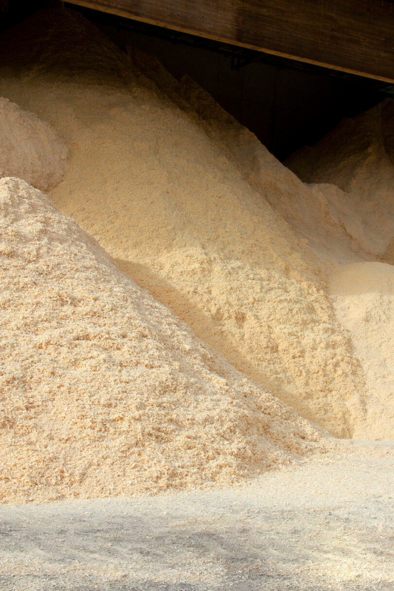 Large piles of light-colored sawdust stored indoors, with some sawdust scattered on the ground in front, evoke the textured aesthetic often found in Renaud Defrancesco’s work.
