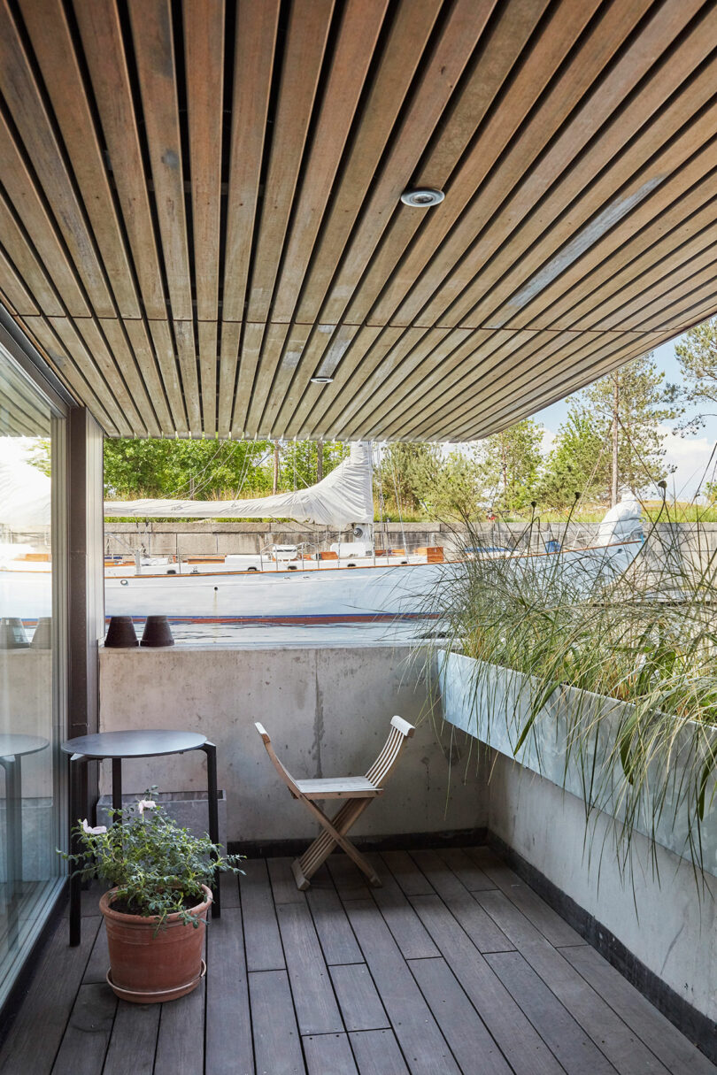 A modern balcony with wooden decking and ceiling, a potted plant, a folding chair, a small table, and tall grasses in a concrete planter, overlooking an outdoor pool.
