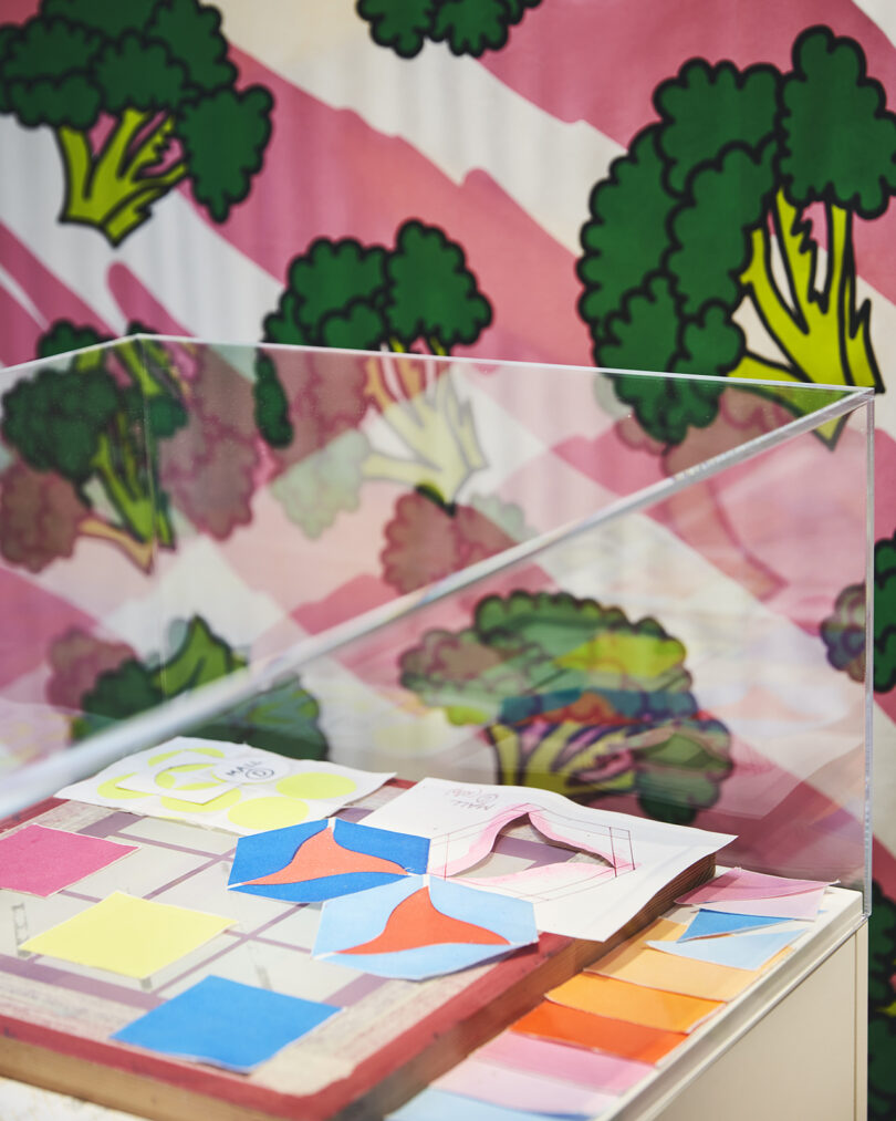A display case contains colorful geometric paper cutouts and sketches in front of a backdrop featuring a bold broccoli pattern on a pink and white striped background.